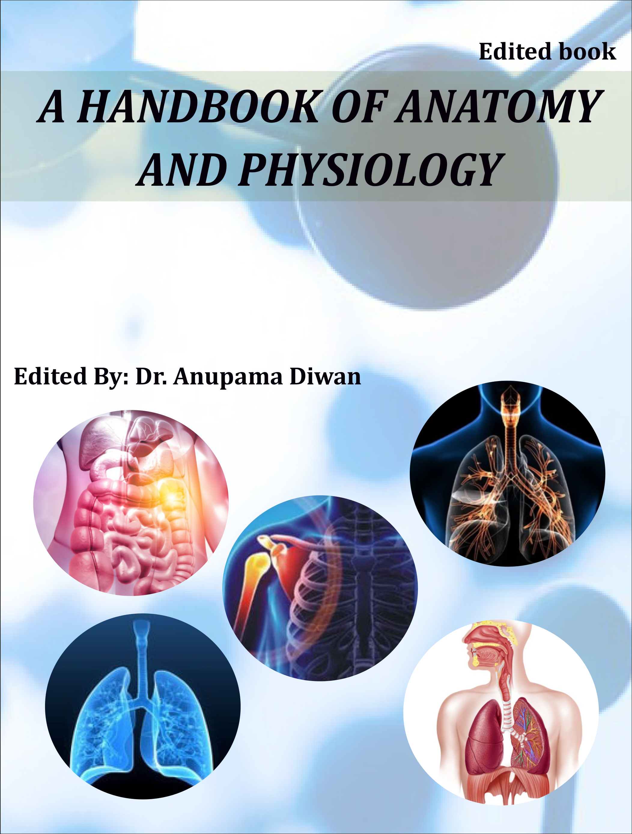 anatomy and physiology of hypertension